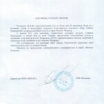 VIF отзыв о работе с МТП